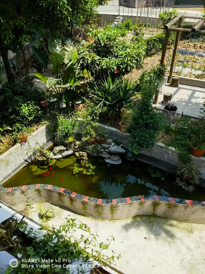 我的乡村农家小院.