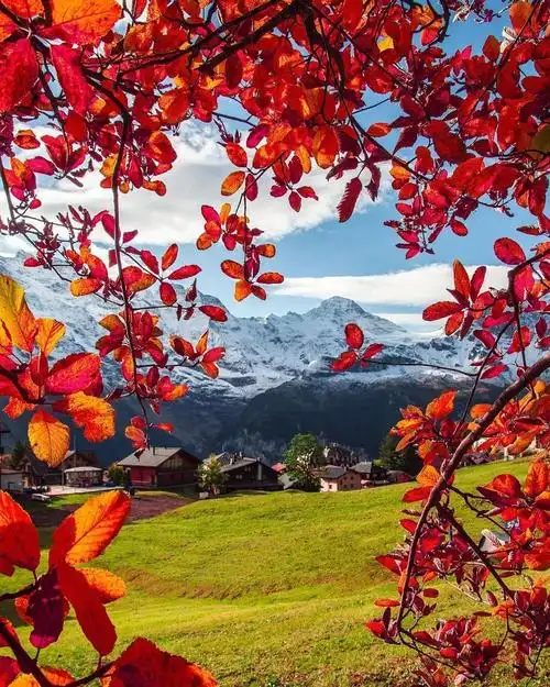 秋天的美景(秋天的风景怎么画)