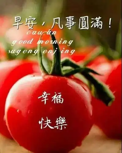 特别漂亮的早上好图片表情问候语