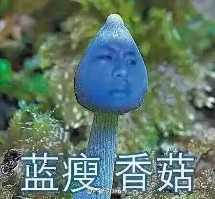 蓝瘦香菇视频告诉你蓝瘦香菇什么意思南宁小哥失恋视频及表情包