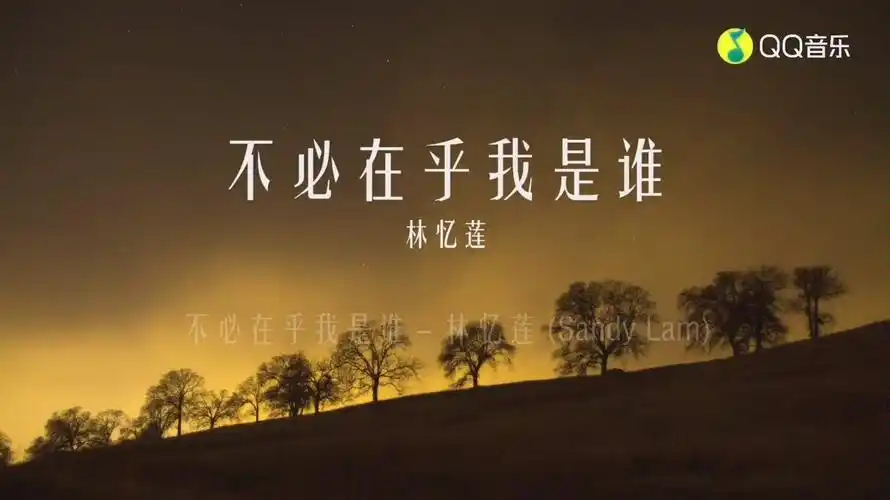 不必在乎我是谁原唱林忆莲