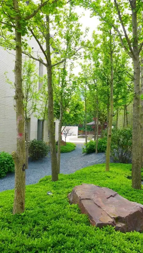 庭院景观设计到落成【实景】 | 上海沙纳花园案例