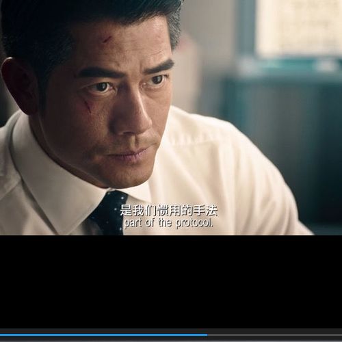 郭富城电影作品蓝光画质全集收藏版 100g移动硬盘