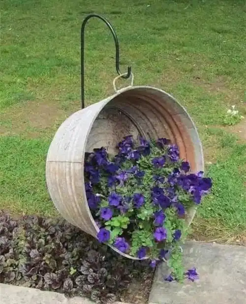 美丽庭院跟我学一简单的废物利用