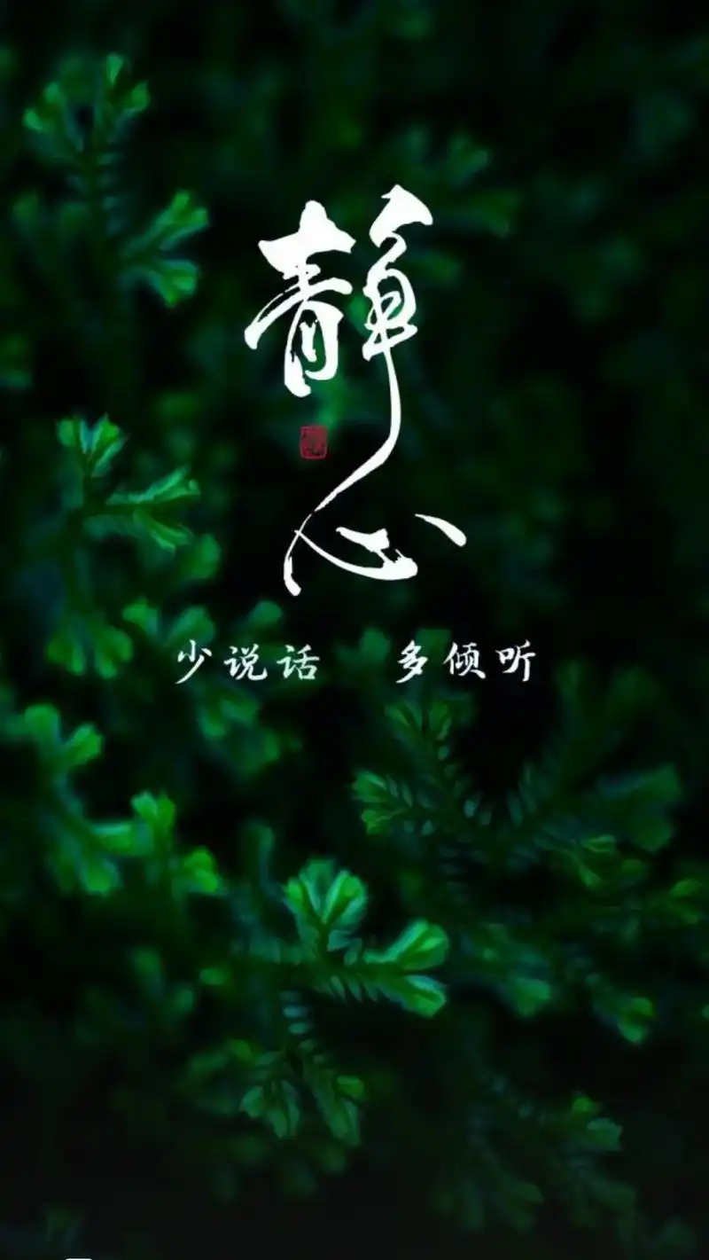 少说话多倾听 静以修身,俭以养德 自律的人不一定优秀 静心  - 抖音