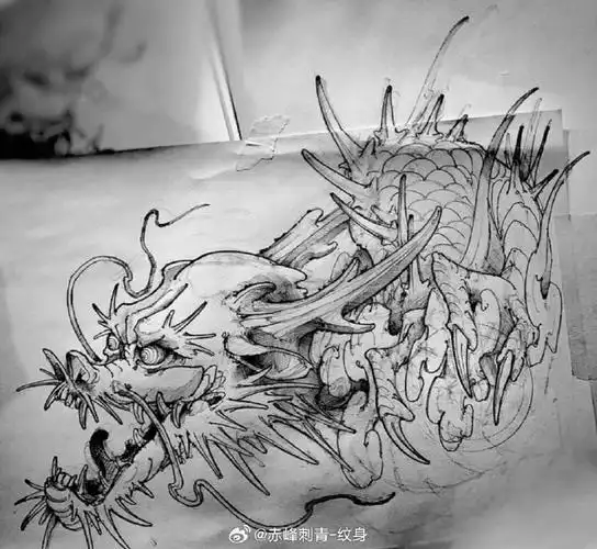 线条龙素材  纹身手稿超话#赤峰纹身哪里好##纹身手稿
