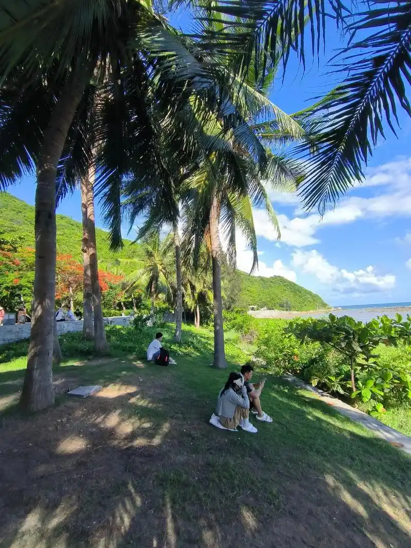 海南三亚风景 #快乐就这么简单 #只有照片能记录这份珍贵  - 抖音