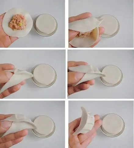 芹菜鲜肉煎饺 (附带饺子包法)