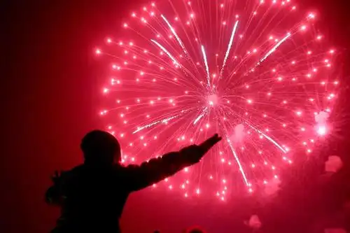 组图:2019全世界最美新年创意烟花!点开感觉就会有好事发生!