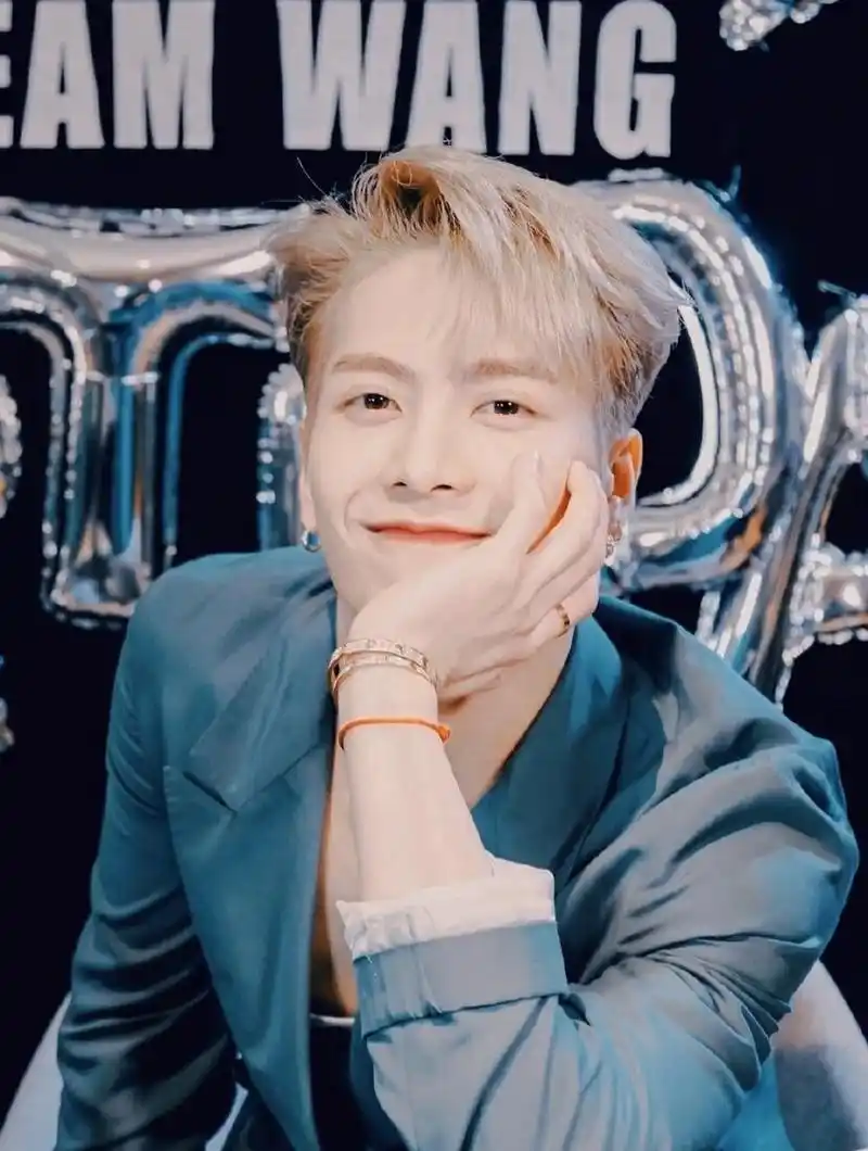 9407嘉人有梦,与尔同行0794——王嘉尔 01姓名:王嘉尔 98