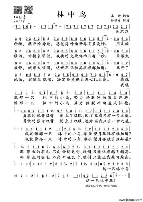 林中鸟简谱-曲谱 - 酷好简谱