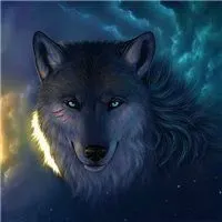 霸气凶残的狼的头像_微信头像图片大全