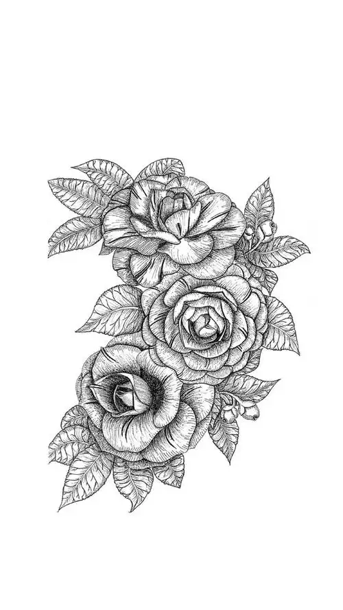 黑白手绘插画-堆糖,美好生活研究所