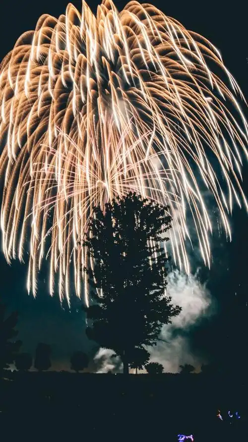 烟花图片唯美绚烂的烟花图片高清壁纸