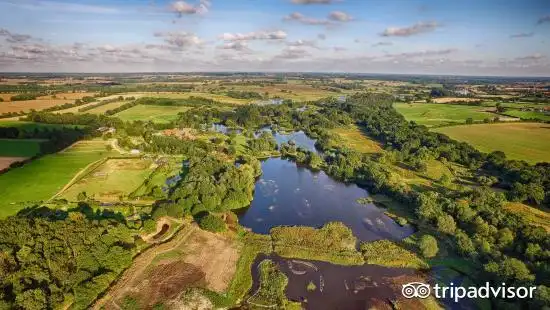 pensthorpe natural park