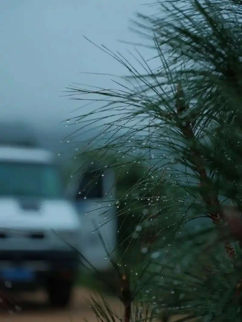 阴天- 野生摄影师黑子 - 抖音