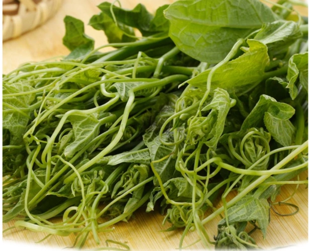 醉鲜美 新鲜丝瓜尖 200g-醉鲜美精选蔬菜 【品牌 介绍 价格 图片 评论