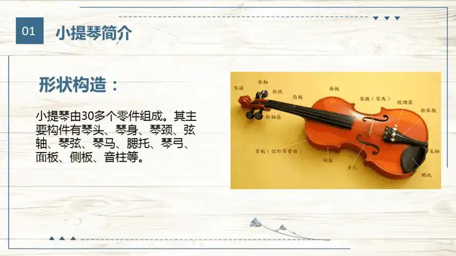 乐器皇后小提琴介绍培训招生通用ppt模板课件