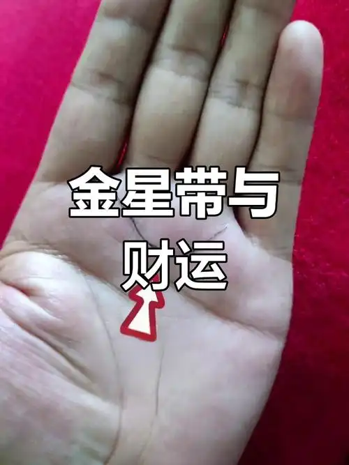 手相金星带揭示财富命运