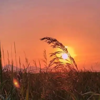 快手风景头像_480x480尺寸快手专用风景头像_第5页_qq头像_我要个性网