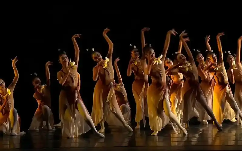 成人群舞 大气唯美古典 舞蹈之家