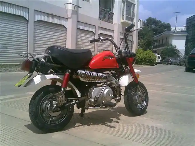 98年原版金城小金童  qq 85228580    兴趣的交流