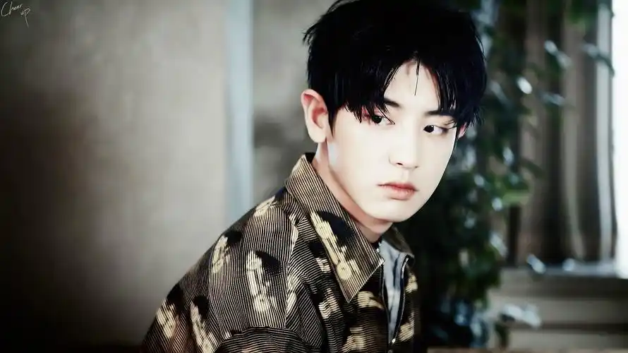 朴灿烈 exo 克里斯马灿烈 cr:扑灿烈生一堆