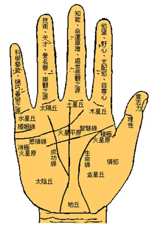 命运线最忌是中断