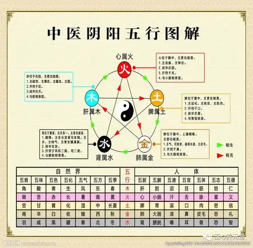 中医五行相生相克关系