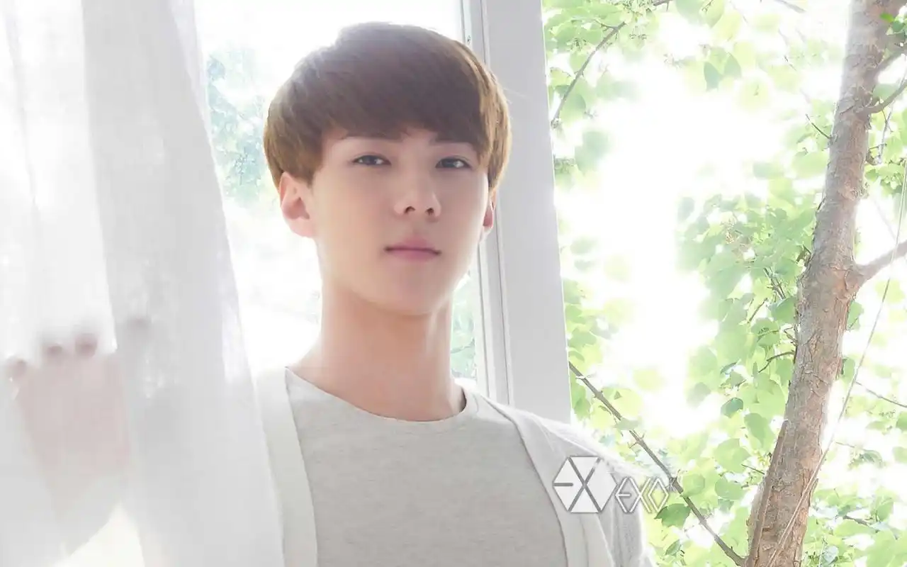 养眼帅哥exo吴世勋高清电脑桌面壁纸第一辑