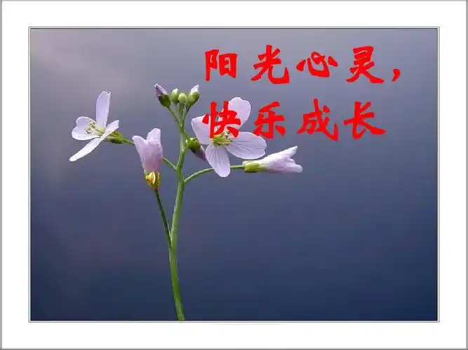 阳光心灵, 快乐成长
