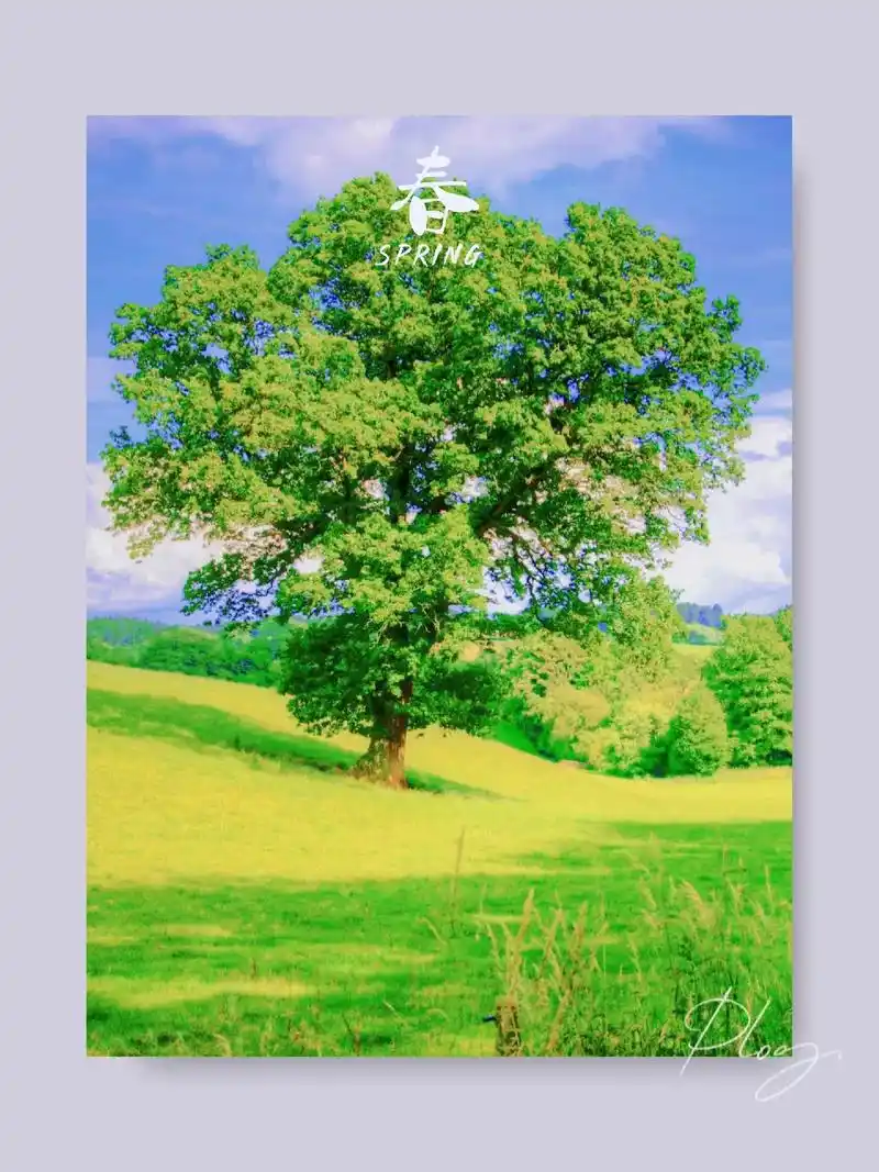 图片素材来源于网络 #风景 #美图 一年四季,春夏秋冬!# - 抖音