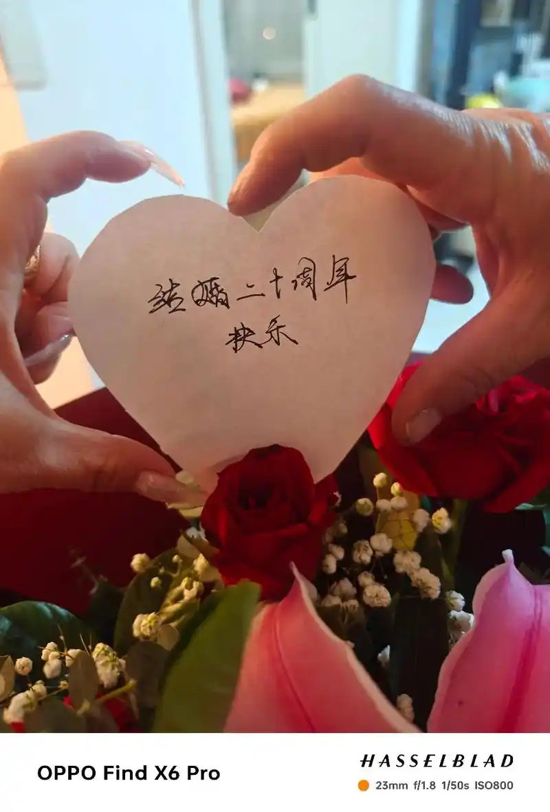 与吴先生结婚二十周年纪念日.恍然间我们已经磕磕绊绊的走过了二十年
