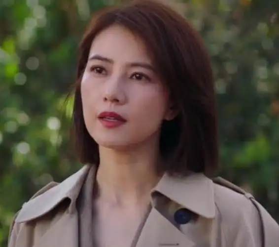 高圆圆主演的电视剧