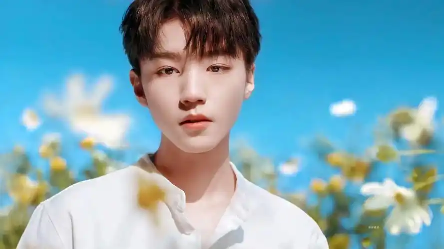 王俊凯壁纸:令人窒息的外貌,是心动的感觉啊