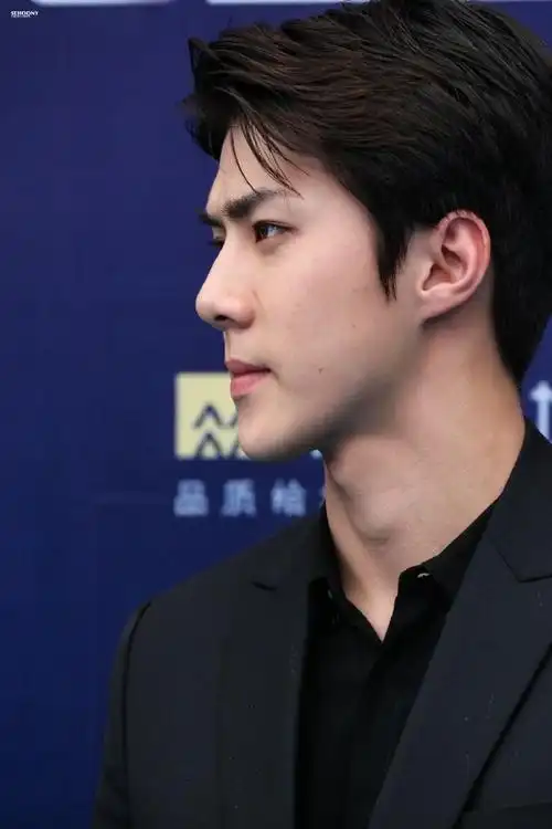 吴世勋##不会放过吴世勋