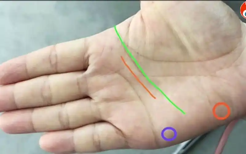 麻衣相法:智慧线延伸到月丘,做事深谋远虑,比较务实的手相