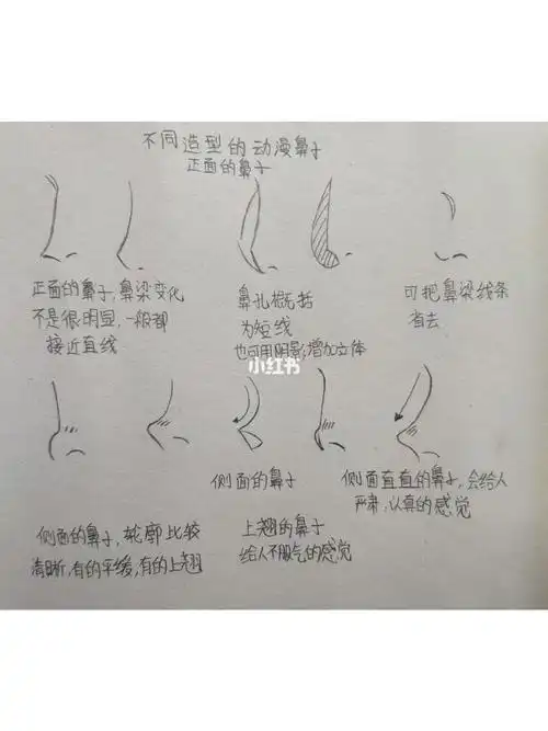 卡通鼻子的画法