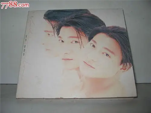 刘德华爱意93年香港纸盒版cd95新无ifpi2