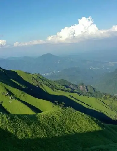高山草甸 人间天堂