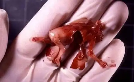 为学益的网易博客