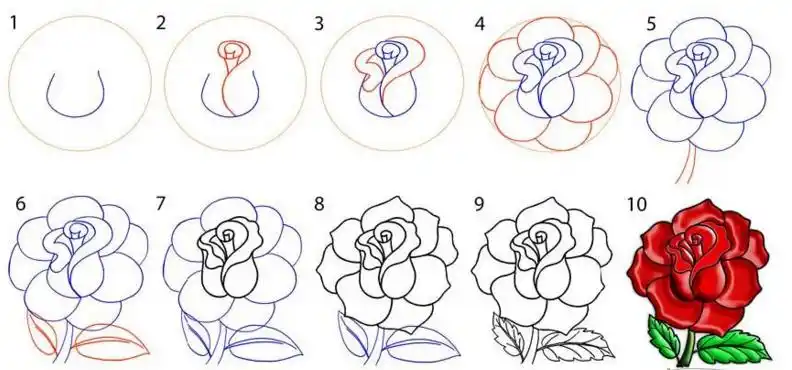 中学生画玫瑰花的简笔画带颜色