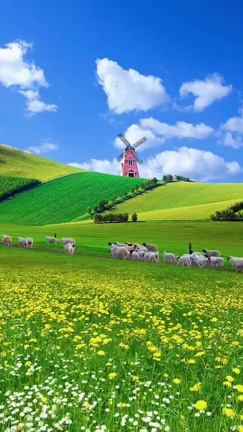 一只羊,两只羊,三只羊