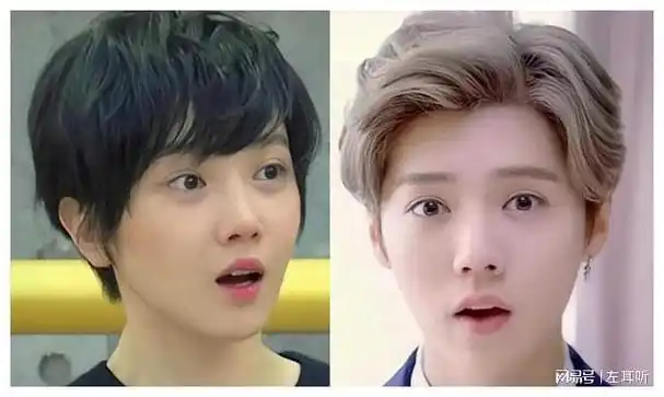 鹿晗|刘涛|整容|娱乐圈|王大治|女明星_网易订阅