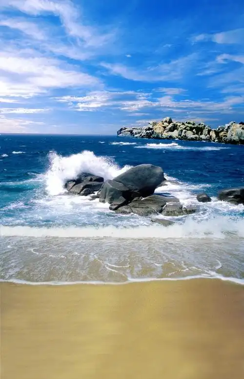 极惠家 大海背景布 大海沙滩蓝天白云海边椰树风景主播拍视频段子直播