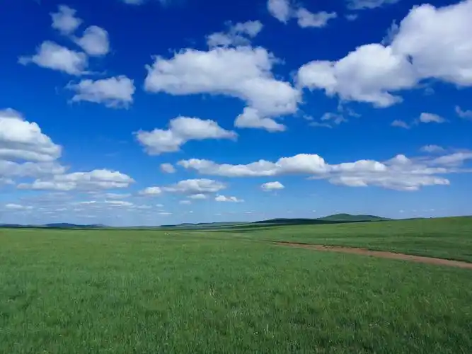 美丽而辽阔的呼伦贝尔大草原腹地蓝天白云绿草地有没有让你想起winxp