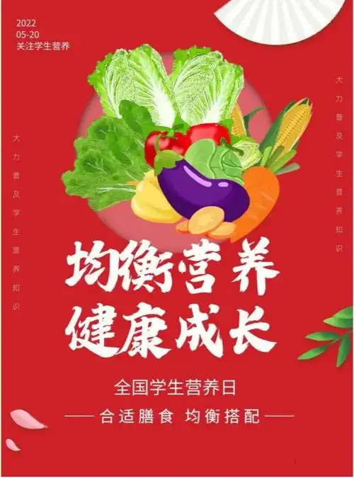 2023年最新的学生营养日宣传画图片素材