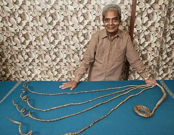 和老师赌气62年不剪指甲 印度男子成世界单手指甲最长的人