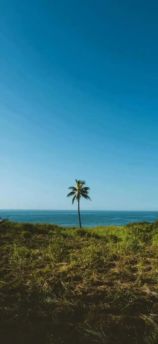 壁纸大全|个性全面屏壁纸