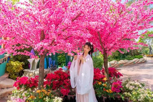 春暖花开,春光正好-搜狐大视野-搜狐新闻